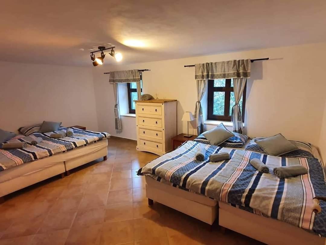 Chalupa Kamenny Vrch Adrspach Teplice nad Metují Exterior photo